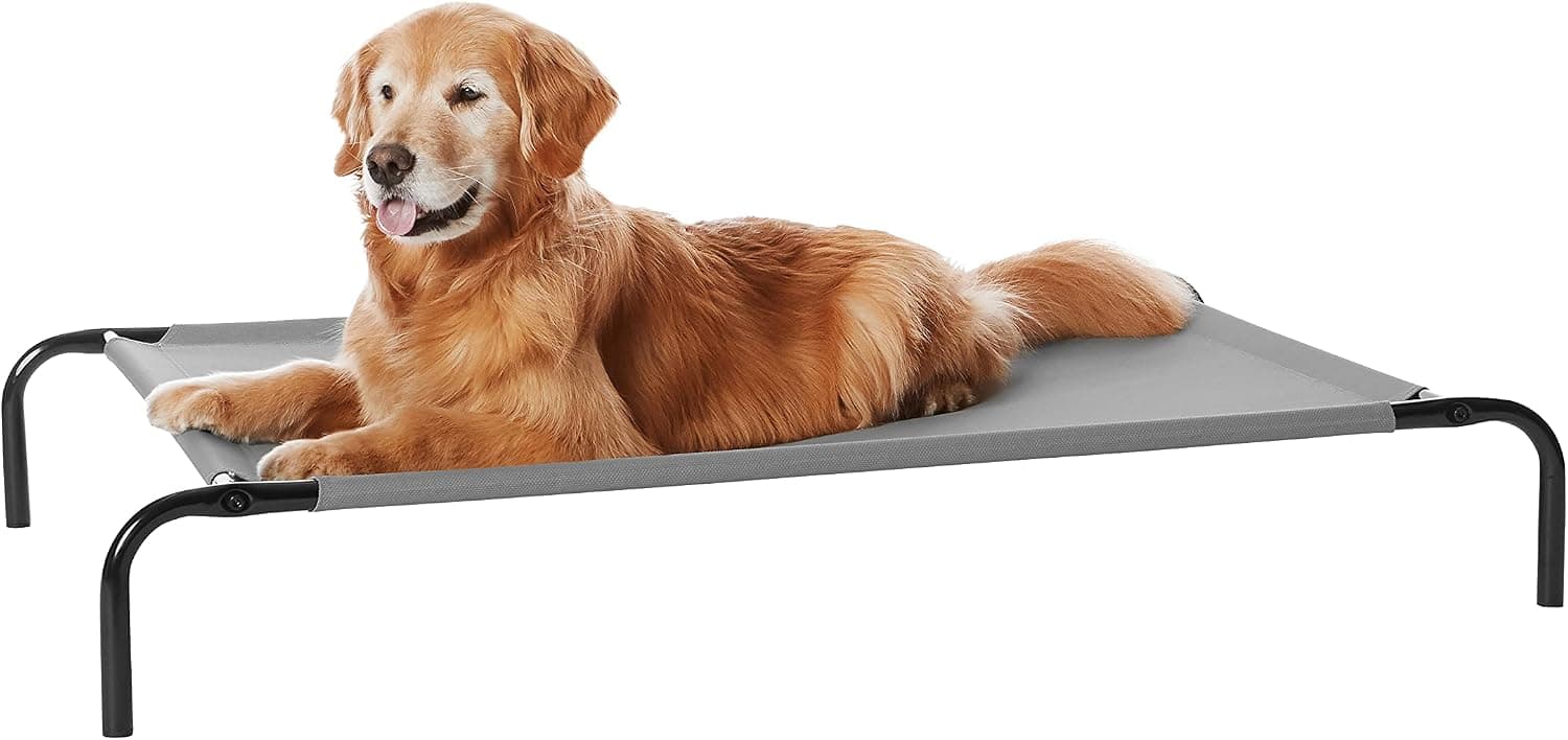 Amazon Basics Cooling Elevated Dog Bed (Large, 51" x 31")