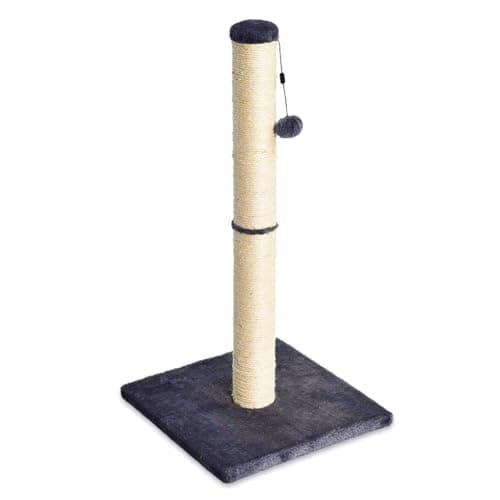 Amazon Basics Cat Scratching Post for Indoor Cats & Kittens, Medium (31.5"H)