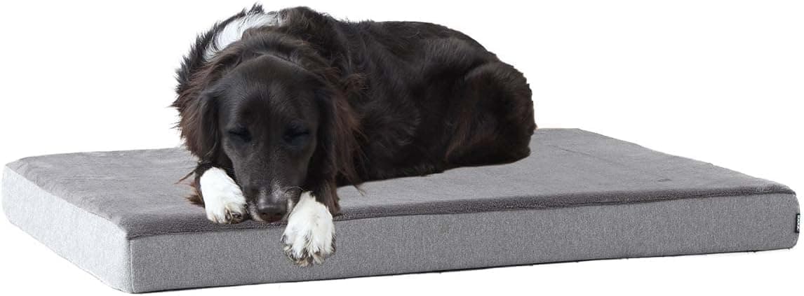 BarkBox Orthopedic Memory Foam Dog Bed (Large)