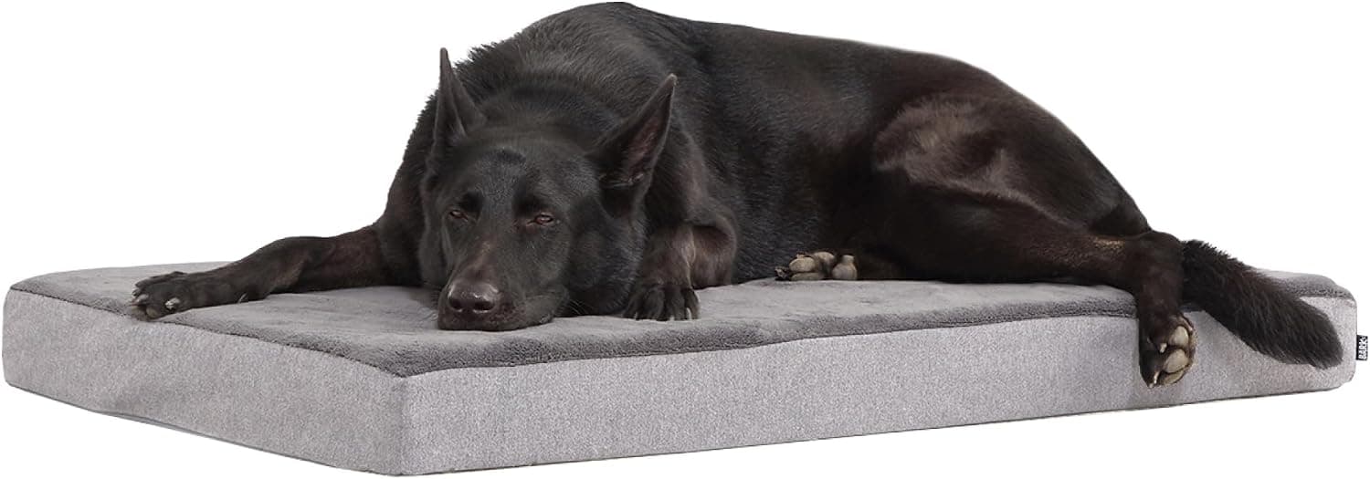 BarkBox Orthopedic Memory Foam Dog Bed (XL)