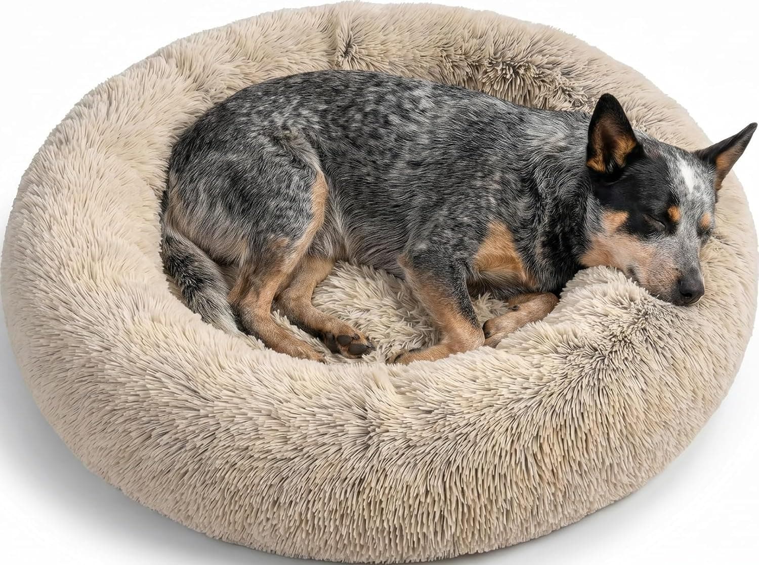 Best Friends by Sheri Original Calming Donut Dog Bed (Medium, 30")