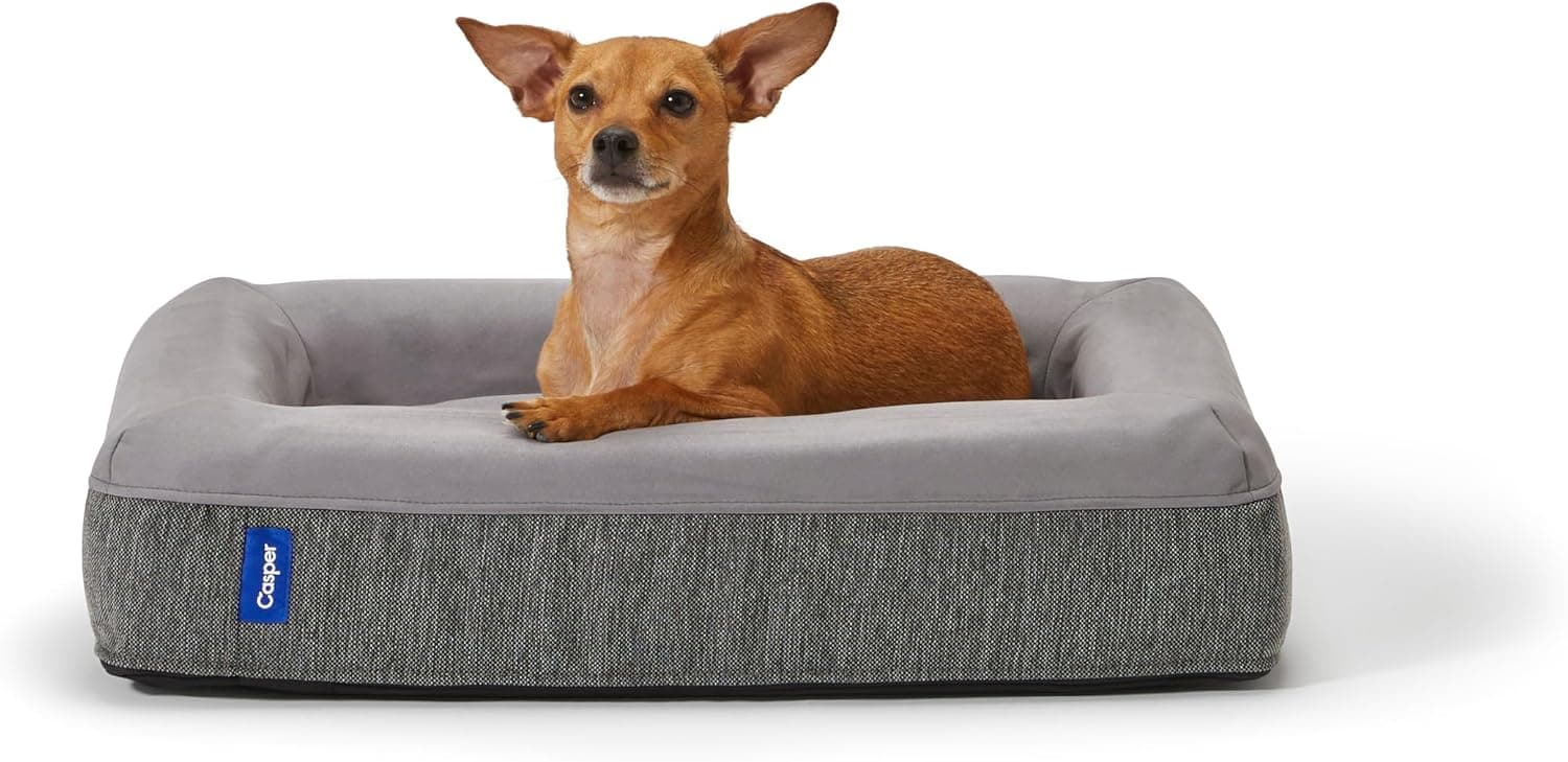 Casper Dog Bed, Plush Memory Foam (Medium, 33" x 25")