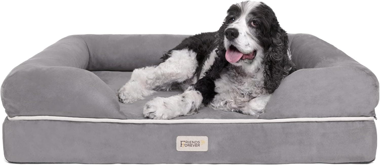 Friends Forever Chester Orthopedic Memory Foam Dog Couch (Large)