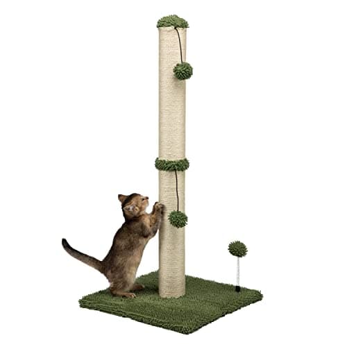MECOOL 34" Tall Cat Scratching Post Premium Basics Kitten Scratcher Sisal Scratch Posts (Cactus Green)