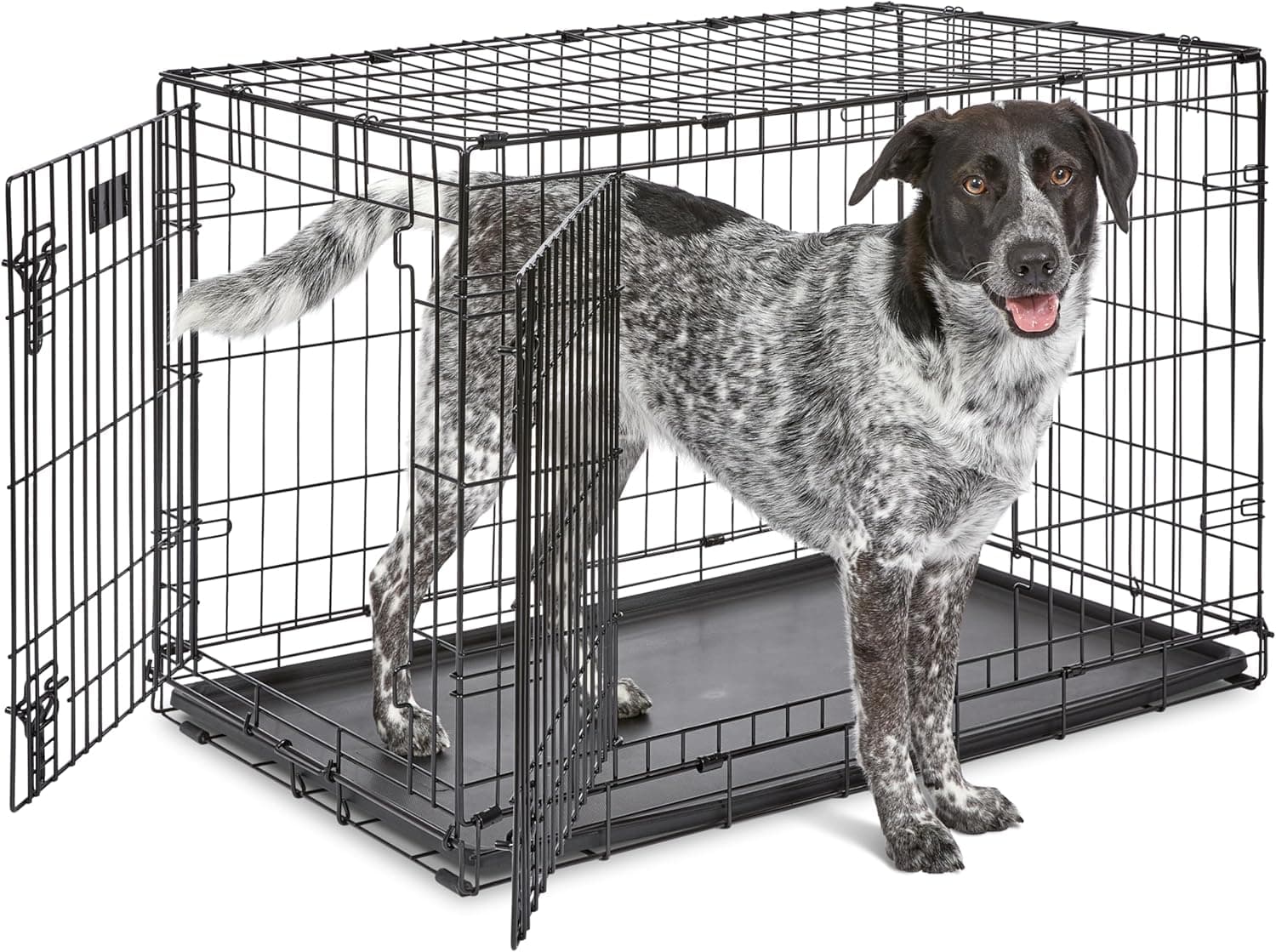 MidWest iCrate Double-Door Folding Crate, 36" (Medium-Large Breeds, 41–70 lb)
