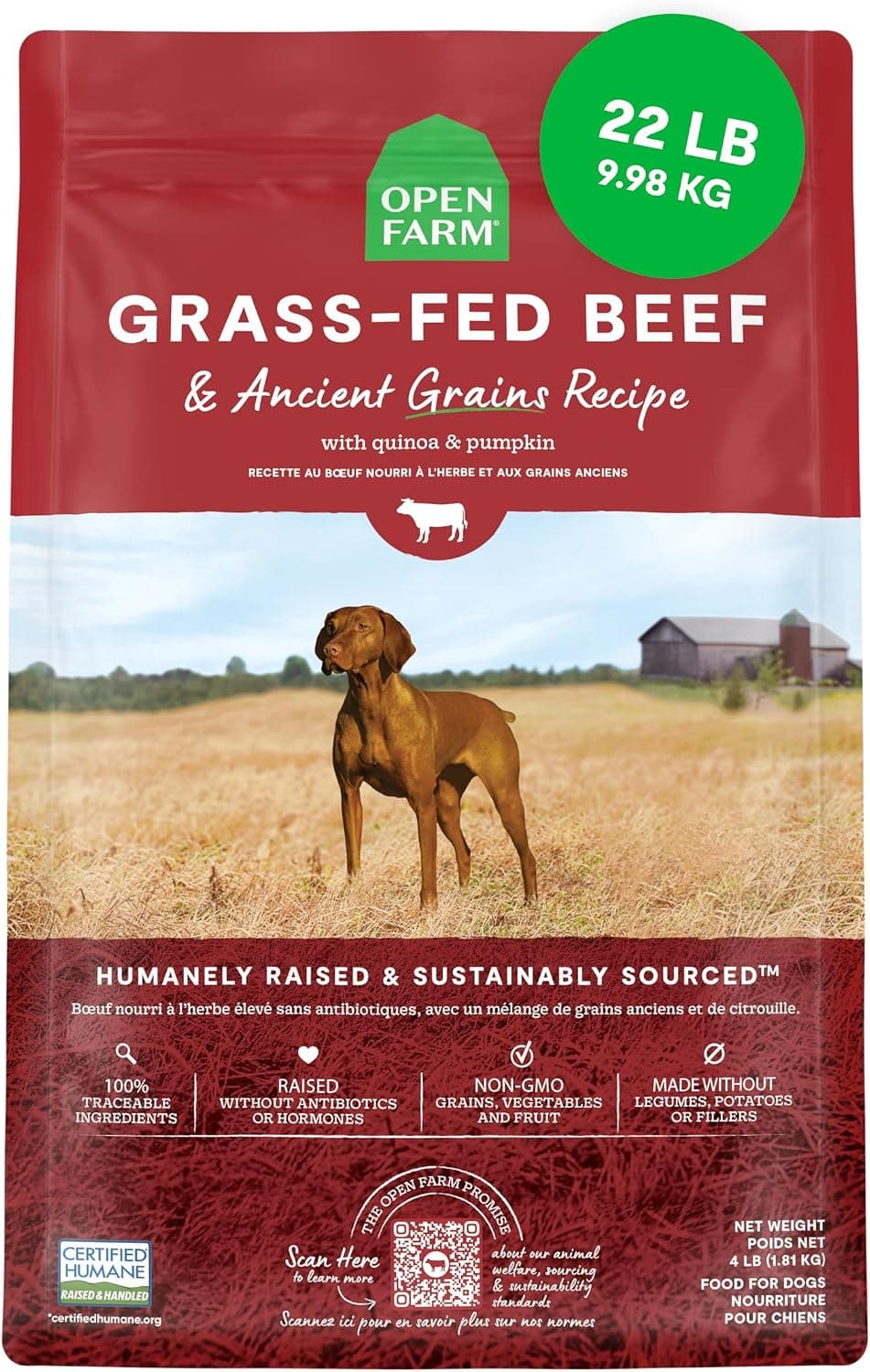 Open Farm Grass-Fed Beef Ancient Grains Dry Dog Food (22 lb)