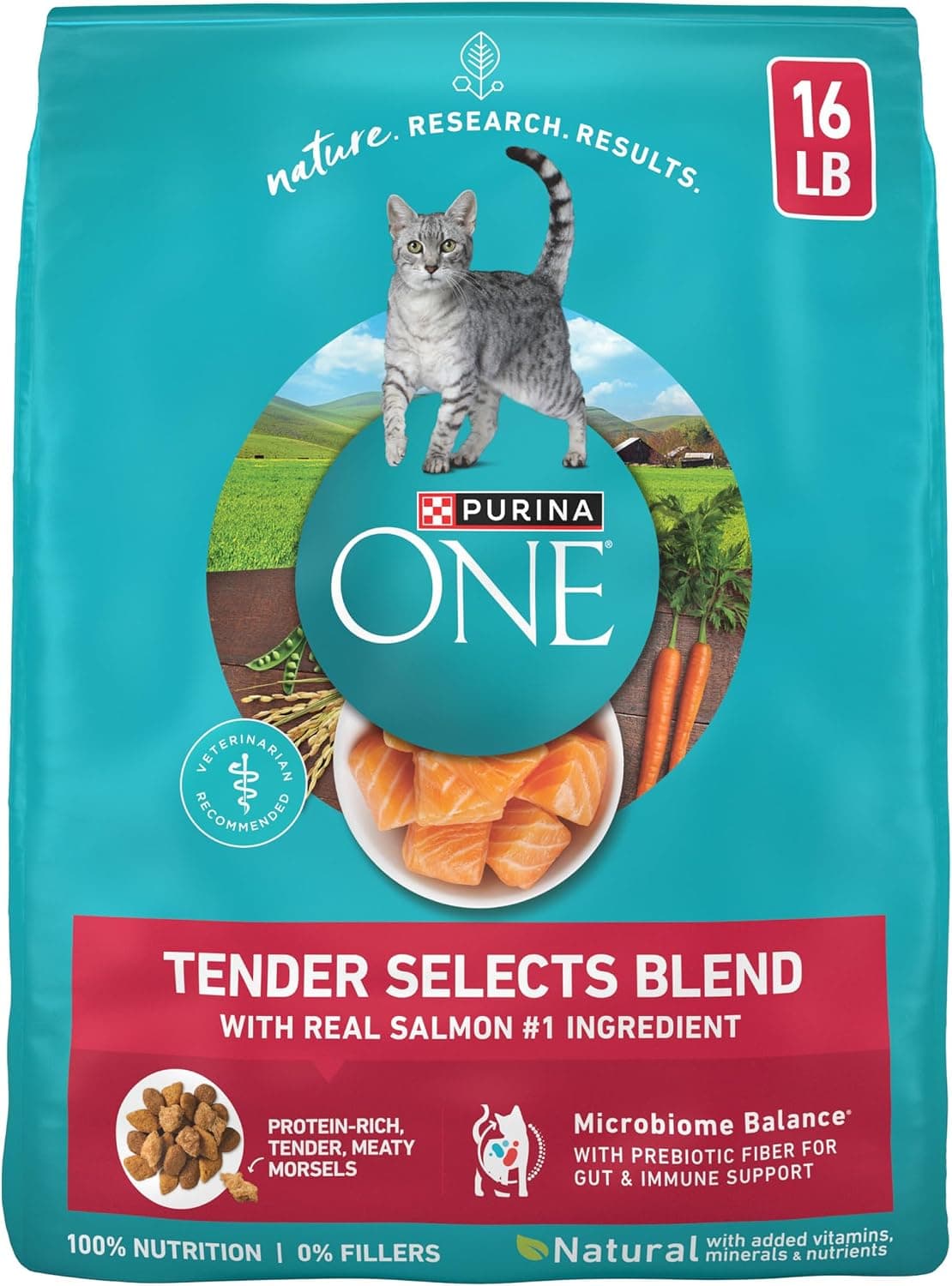Purina ONE Tender Selects Blend with Real Salmon Dry Cat Food (16 lb)